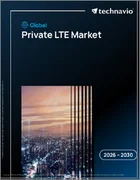 表紙：世界のプライベートLTE市場2026-2030年