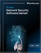表紙：世界のネットワークセキュリティソフトウェア市場2026-2030年