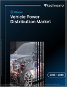 表紙：世界の車両用電力分配市場2026-2030年