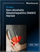 表紙：世界の非アルコール性脂肪性肝炎（NASH）市場2026-2030年