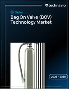 表紙：BOV（バッグオンバルブ）技術の世界市場 2026-2030年