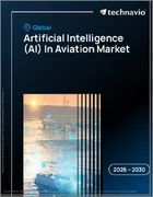 表紙：世界の航空分野における人工知能（AI）市場2026-2030年