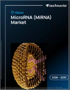 表紙：世界のマイクロRNA（miRNA）市場2026-2030年