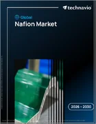 表紙：世界のナフィオン市場2026-2030年
