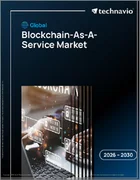 表紙：世界のブロックチェーン・アズ・ア・サービス市場2026-2030年