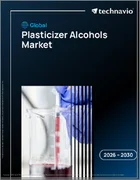 表紙：世界の可塑剤アルコール市場2026-2030年