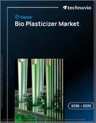表紙：世界のバイオ可塑剤市場2026-2030年