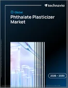表紙：世界のフタル酸系可塑剤市場2026-2030年