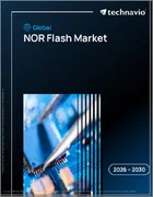 表紙：世界のNORフラッシュ市場2026-2030年