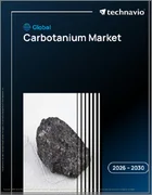 表紙：カーボタニウムの世界市場、2026年～2030年