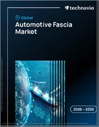 表紙：世界の自動車用フェイシア市場2026-2030年