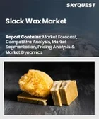 表紙：スラックワックス市場規模、シェア、および成長分析：製品タイプ別、用途別、エンドユーザー産業別、販売チャネル別、地域別－業界予測 2026-2033年