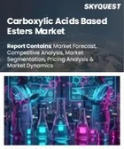 表紙：カルボン酸系エステル市場規模、シェア、成長分析：種類別、形態別、用途別、最終用途産業別、純度別、地域別－業界予測2026-2033年