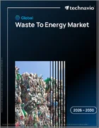 表紙：廃棄物発電（WtE）の世界市場 2026-2030年