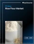表紙：世界の米粉市場2026-2030年
