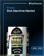 表紙：世界のスロットマシン市場2026-2030年