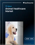 表紙：世界の動物ヘルスケア市場2026-2030年