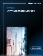 表紙：世界の酢酸エチル市場2026-2030年