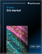 表紙：世界のシルク市場2026-2030年