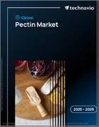 表紙：世界のペクチン市場2025-2029年