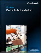 表紙：世界のデルタロボット市場2025-2029年