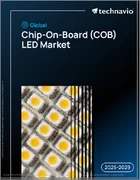表紙：世界のチップオンボード（COB）LED市場2025-2029年