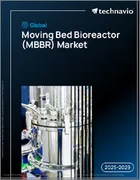 表紙：世界の移動床式バイオリアクター（MBBR）市場2025-2029年