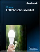 表紙：世界のLED用蛍光体市場2025-2029年