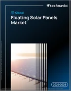 表紙：世界の浮体式太陽光パネル市場2025-2029年