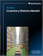 表紙：世界の在庫管理ロボット市場2025-2029年