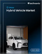 表紙：世界のハイブリッド車市場、2025年～2029年