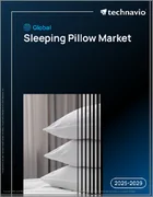 表紙：世界の睡眠用枕市場2025-2029年