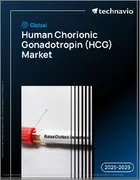 表紙：世界のヒト絨毛性ゴナドトロピン（HCG）市場、2025年～2029年