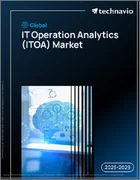 表紙：世界のIT運用分析（ITOA）市場、2025年～2029年