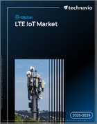 表紙：世界のLTE IoT市場、2025年～2029年