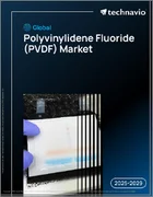 表紙：世界のポリフッ化ビニリデン（PVDF）市場2025-2029年