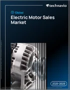 表紙：世界の電動機販売市場2025-2029年