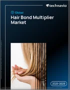 表紙：ヘアボンドマルチプライヤーの世界市場 2025-2029年