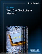 表紙：世界のWeb 3.0ブロックチェーン市場2025-2029年