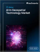 表紙：地理空間技術におけるAIの世界市場、2025年～2029年