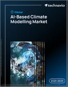 表紙：AIベース気候モデリングの世界市場、2025年～2029年