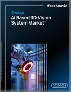 表紙：世界のAIベース3Dビジョンシステム市場（2025年～2029年）