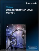 表紙：世界のAI民主化市場（2025年～2029年）