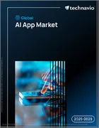 表紙：世界のAIアプリケーション市場2025-2029年