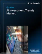 表紙：世界のAI投資動向市場2025-2029年