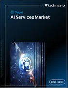 表紙：世界のAIサービス市場2025-2029年