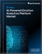 表紙：世界のAI搭載感情分析プラットフォーム市場2025-2029年
