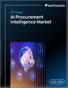 表紙：世界のAI調達インテリジェンス市場2025-2029年