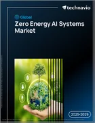 表紙：世界のゼロエネルギーAIシステム市場2025-2029年