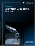 表紙：AIシステムデバッグの世界市場、2025年～2029年